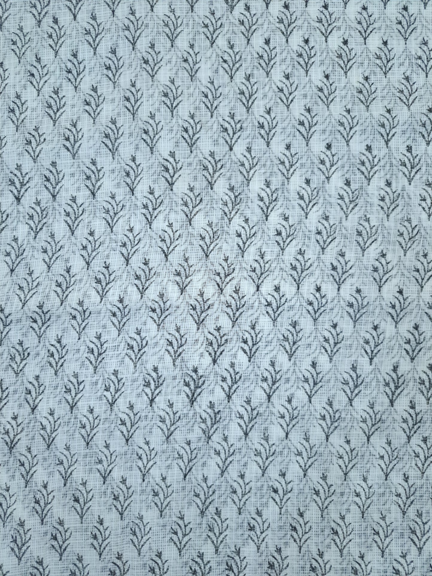 Kota-Doria with Kota-Doria Dupatta