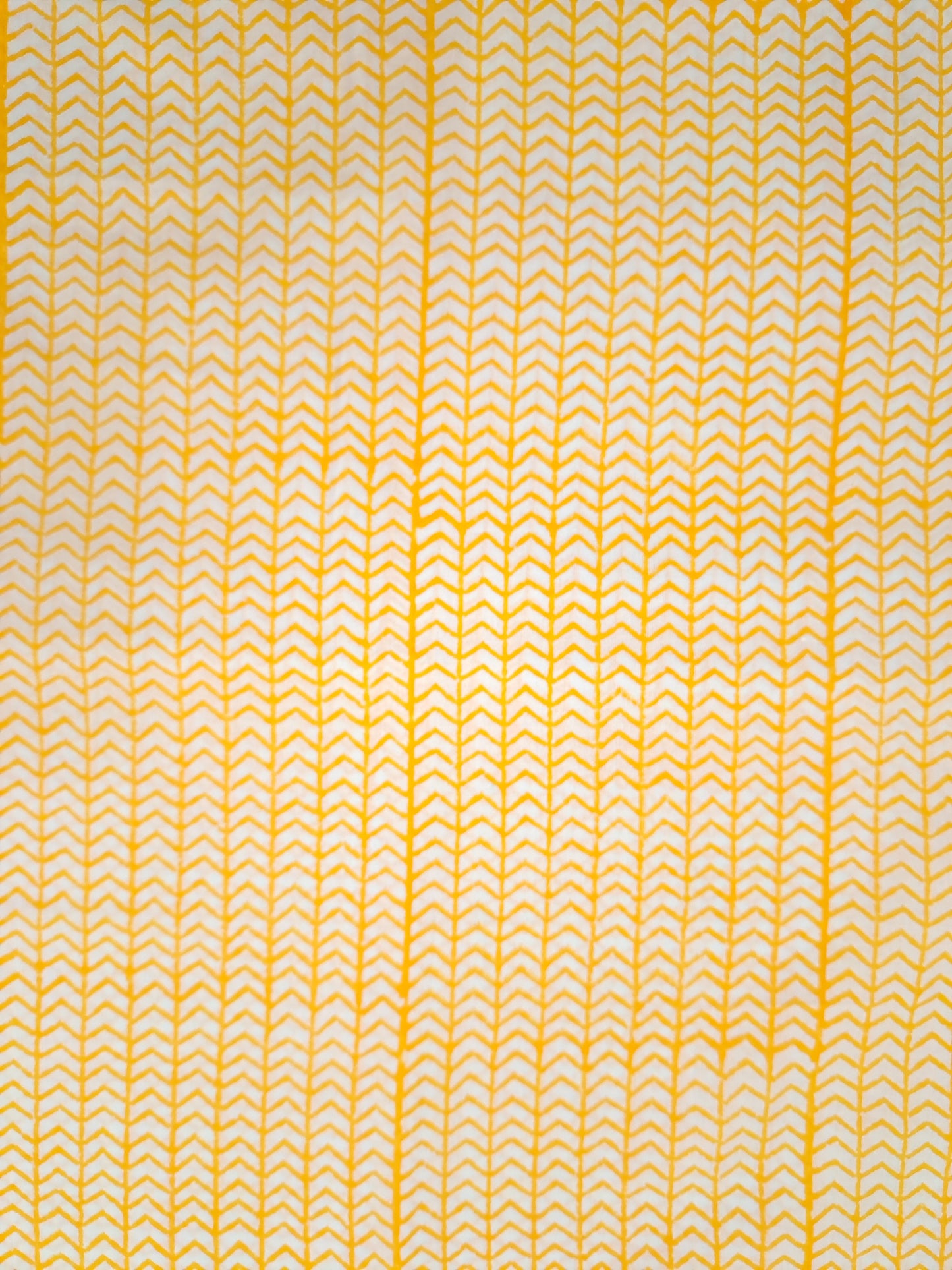 Kota-Doria with Kota-Doria Dupatta