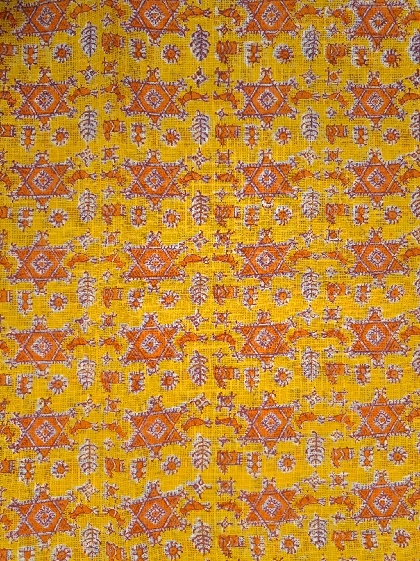Kota-Doria with Kota-Doria Dupatta