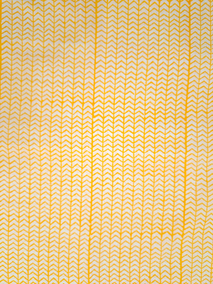 Kota-Doria with Kota-Doria Dupatta